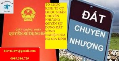 ​TỔ CHỨC KINH TẾ CÓ ĐƯỢC NHẬN CHUYỂN NHƯỢNG QUYỀN SỬ DỤNG ĐẤT NÔNG NGHIỆP CỦA HỘ GIA ĐÌNH