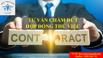 CHẤM DỨT HỢP ĐỒNG THỬ VIỆC