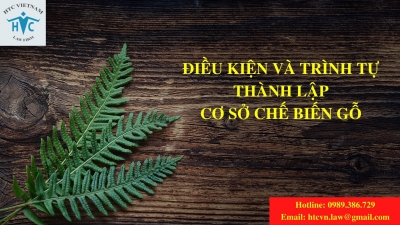 ​ĐIỀU KIỆN VÀ TRÌNH TỰ THÀNH LẬP CƠ SỞ CHẾ BIẾN GỖ