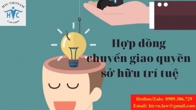 ​Cần lưu ý gì khi ký kết hợp đồng chuyển giao quyền sở hữu trí tuệ?