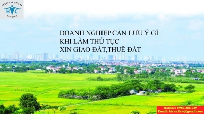 ​Doanh nghiệp cần lưu ý gì khi làm thủ tục xin giao đất, thuê đất