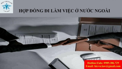 ​Tại sao người lao động cần được tư vấn về Hợp đồng đi làm việc ở nước ngoài