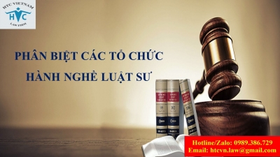 ​Phân biệt các tổ chức hành nghề luật sư