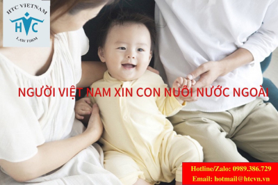 03 điều cần biết khi người Việt Nam xin con nuôi nước ngoài