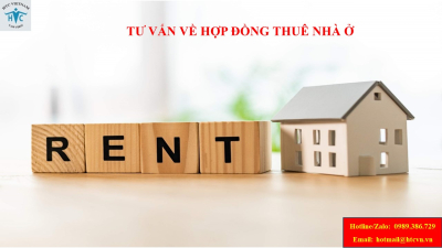 ​Tư vấn về hợp đồng thuê nhà ở