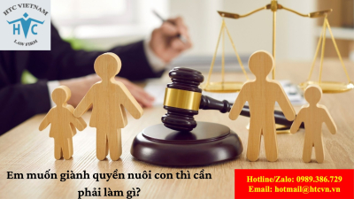 Em muốn giành quyền nuôi con thì cần phải làm gì?