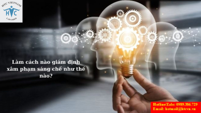 Làm cách nào giám định xâm phạm sáng chế như thế nào