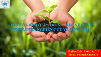 Bảo hộ giống cây trồng: Bảo vệ quyền lợi của nhà nghiên cứu và nông dân