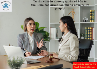 Tư vấn chuyển nhượng quyền sở hữu trí tuệ: Đảm bảo quyền lợi, phòng ngừa rủi ro pháp lý.