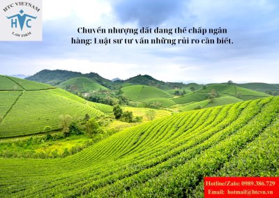 Chuyển nhượng đất đang thế chấp ngân hàng: Luật sư tư vấn những rủi ro cần biết.