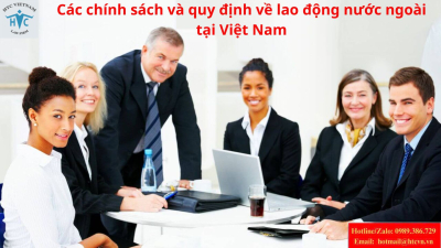 Các chính sách và quy định về lao động nước ngoài tại Việt Nam