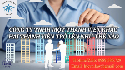 Công ty TNHH một thành viên khác hai thành viên trở lên như thế nào?