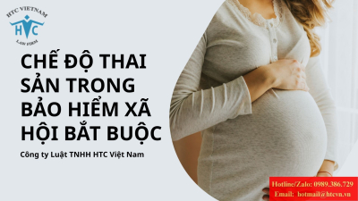 Chế độ thai sản trong bảo hiểm xã hội bắt buộc tại Việt Nam