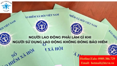 Phải làm gì khi người sử dụng lao động không đóng bảo hiểm cho người lao động?