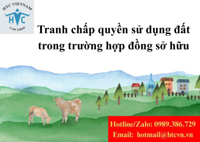 Tranh chấp quyền sử dụng đất trong trường hợp đồng sở hữu