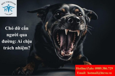 “Chó dữ cắn người qua đường”: Chủ nhà bị phạt tù và bồi thường hàng trăm triệu – Tình huống thực tế cần cảnh tỉnh.
