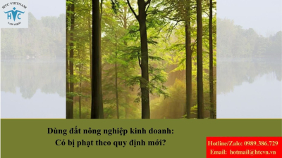 Dùng đất nông nghiệp kinh doanh: Có bị phạt theo quy định mới?