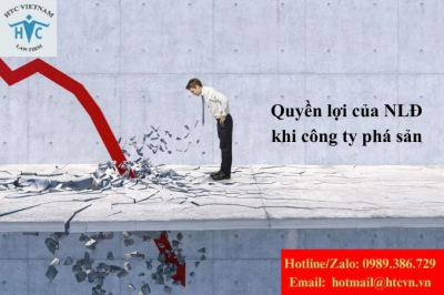 Công ty phá sản: Người lao động được bảo vệ quyền lợi đến đâu?