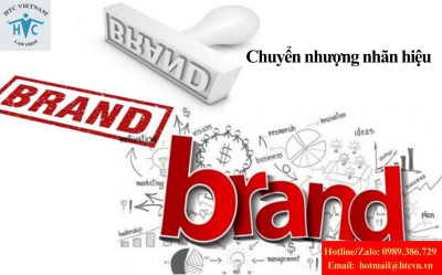 Chuyển nhượng nhãn hiệu: Hồ sơ cần gì để không bị trả lại?