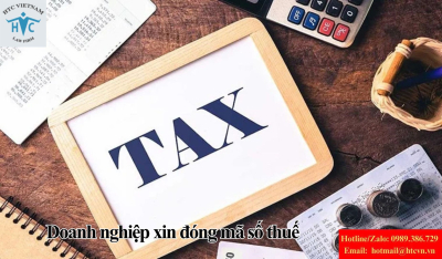 Cơ quan thuế kiểm tra gì khi doanh nghiệp xin đóng mã số thuế?