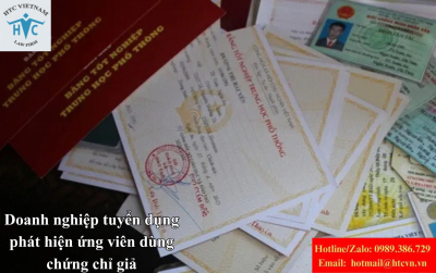 Doanh nghiệp tuyển dụng phát hiện ứng viên dùng chứng chỉ giả: Có quyền tố giác hình sự không?