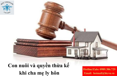 Con nuôi và quyền thừa kế khi cha mẹ ly hôn theo quy định pháp luật