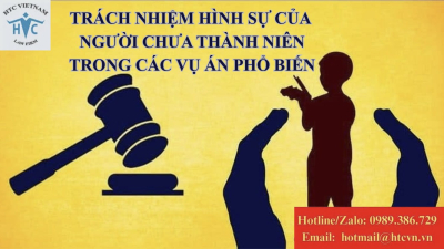 Trách nhiệm hình sự của người chưa thành niên trong các vụ án phổ biến 