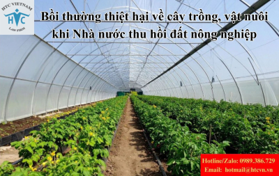 Bồi thường thiệt hại về cây trồng, vật nuôi khi Nhà nước thu hồi đất nông nghiệp: Những vướng mắc thường gặp