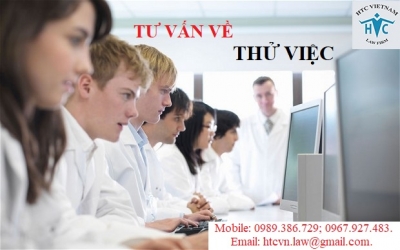 TƯ VẤN VỀ THỬ VIỆC