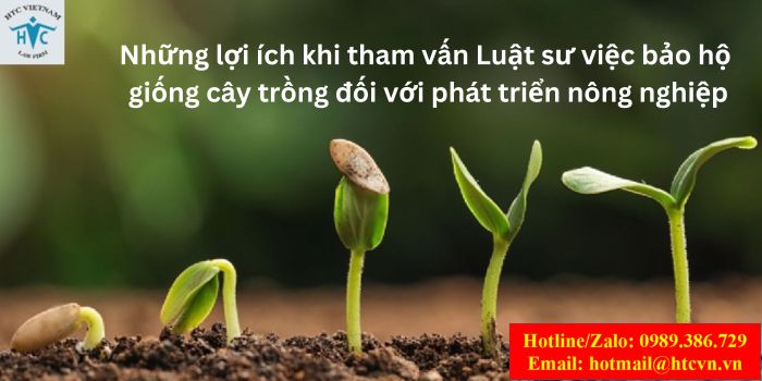 NHỮNG LỢI ÍCH KHI THAM VẤN LUẬT SƯ VIỆC BẢO HỘ GIỐNG CÂY TRỒNG ĐỐI VỚI PHÁT TRIỂN NÔNG NGHIỆP