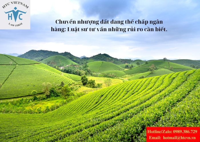 Chuyển nhượng đất đang thế chấp ngân hàng: Luật sư tư vấn những rủi ro cần biết.